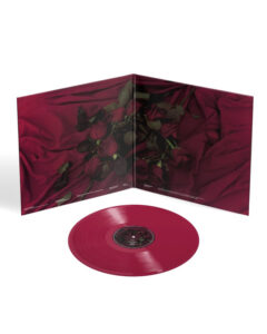 "Flechazos" el segundo álbum de estudio de Hermano Salvaje