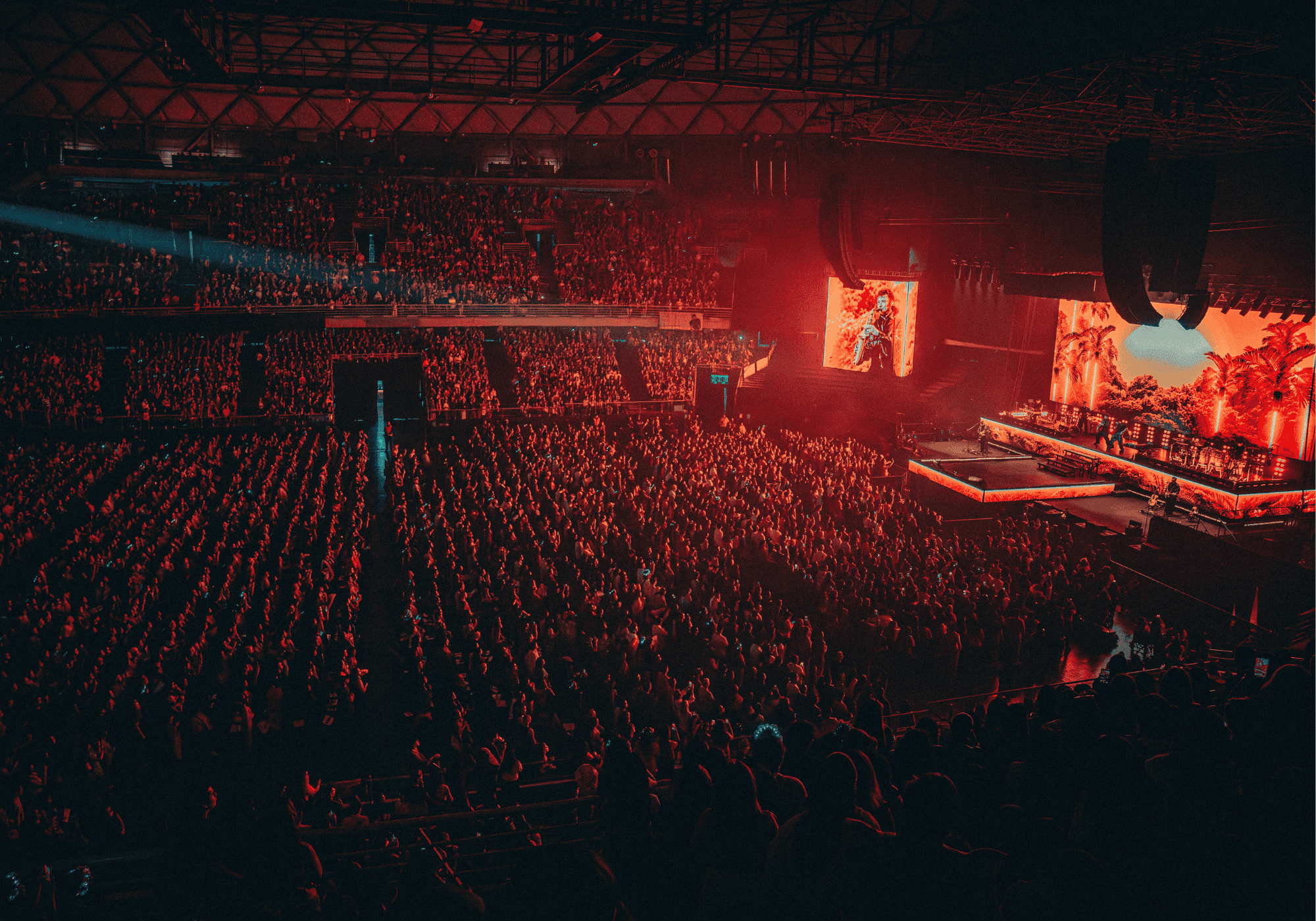 Borrador automático 444