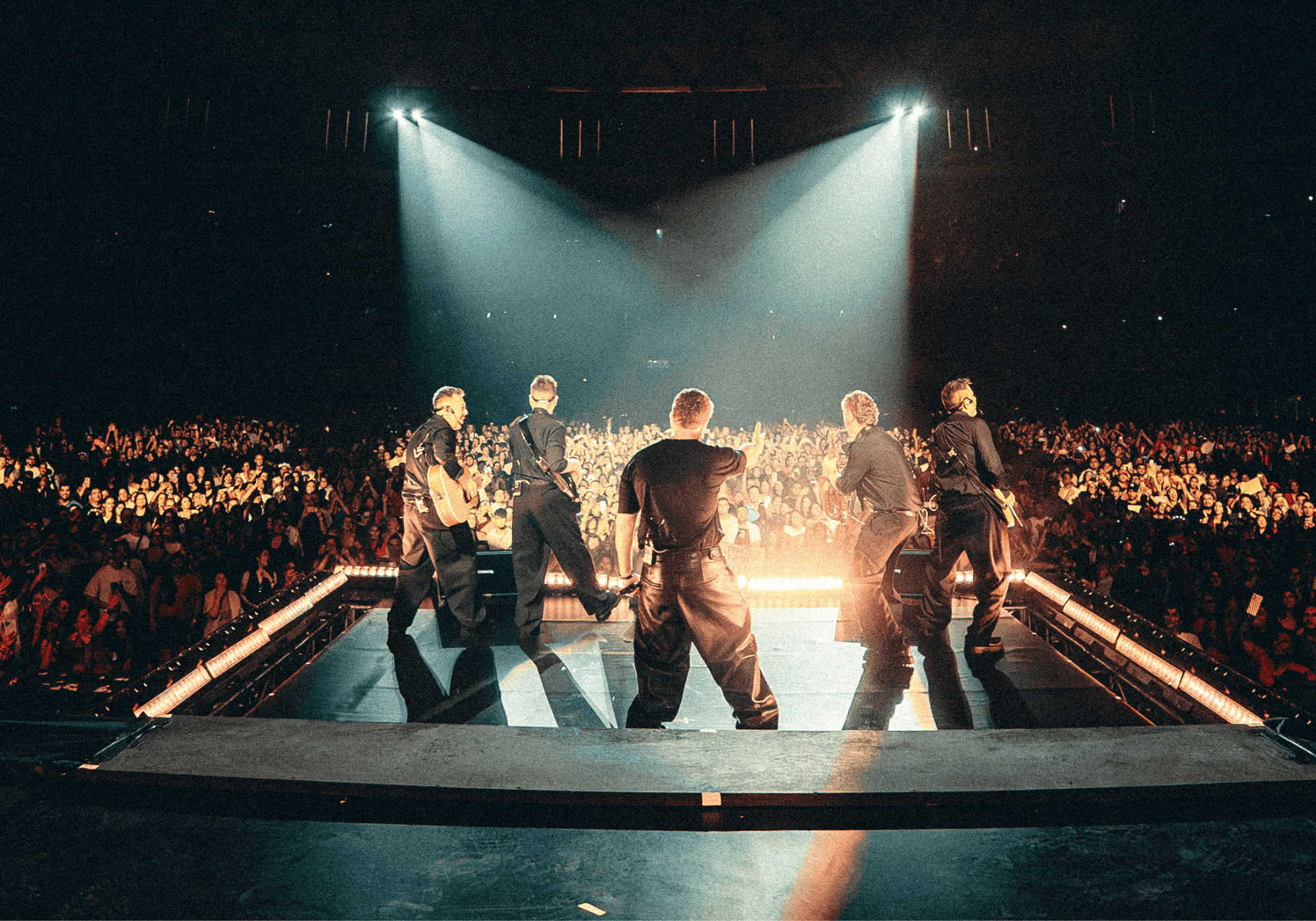 Borrador automático 445